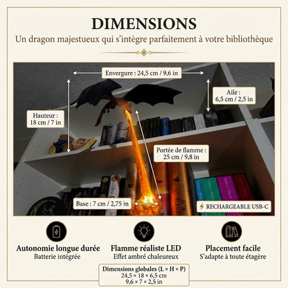 LE DRAGON SMAUG